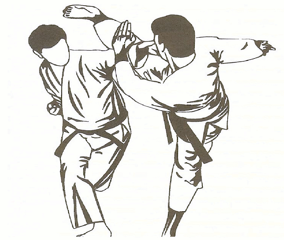 فنون کاراته اوکیناوایی - مدیر ذهن