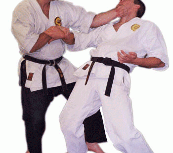 دفاع در کاراته - مدیر ذهن