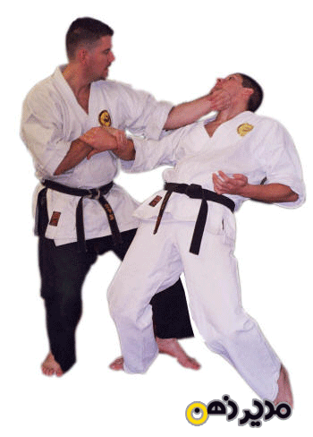 دفاع در کاراته - مدیر ذهن